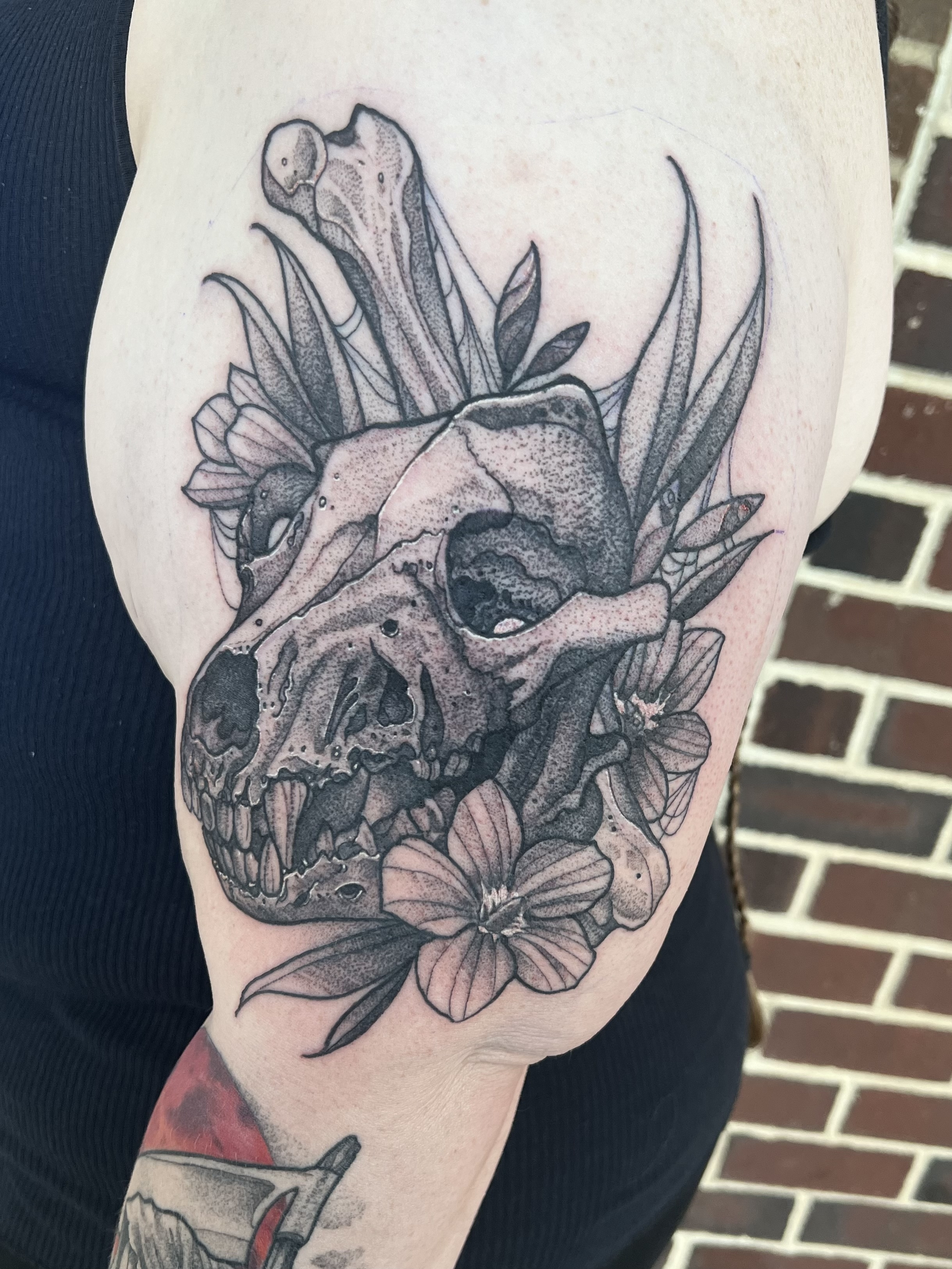 Dog Skull Tattoo